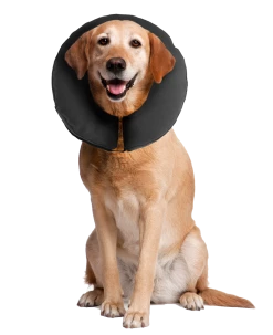 Euro Joe Zenpet ProCollar M 7 Euro Joe Zenpet ProCollar M -FIRST AID Sales Store 253765