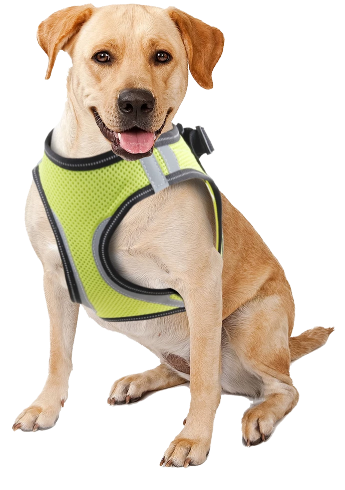 Euro Joe Pawise Doggy Safety Harness XS A:28-30cm B:32-37cm 1 Euro Joe Pawise Doggy Safety Harness XS A:28-30cm B:32-37cm