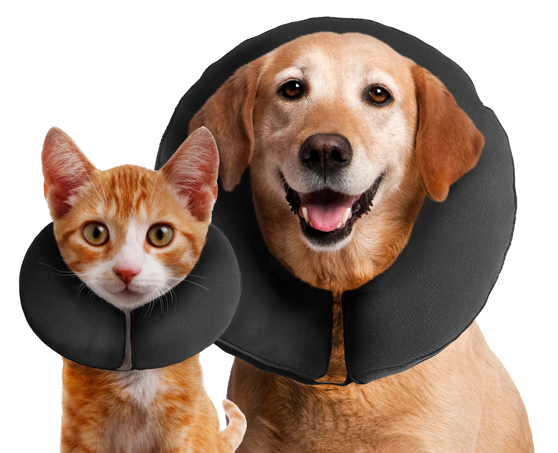 Euro Joe Zenpet ProCollar M 2 Euro Joe Zenpet ProCollar M - Image 2