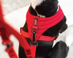 Euro Joe KONG Comfort Harness Red