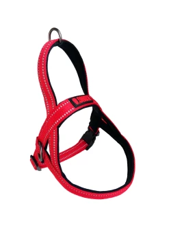 Euro Joe KONG Norwegian Harness Red