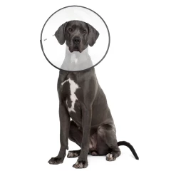 Euro Joe Zenpet E-Clear Plastic E-Collar XXLarge -FIRST AID Sales Store 273937 3