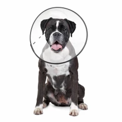 Euro Joe Zenpet E-Clear Plastic E-Collar XLarge -FIRST AID Sales Store 273942 1
