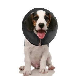 Euro Joe Zenpet ProCollar XS