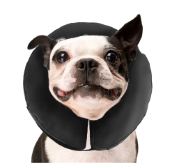 Euro Joe Zenpet ProCollar M