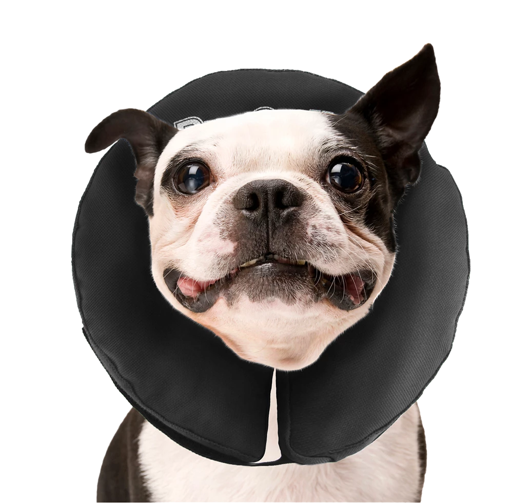 Euro Joe Zenpet ProCollar M 1 Euro Joe Zenpet ProCollar M