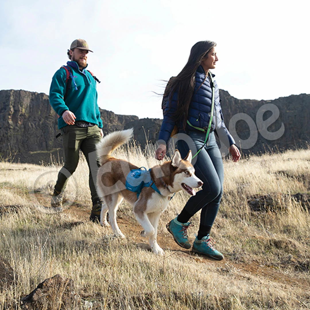 Euro Joe KURGO First Aid Kit Blue 5 Euro Joe KURGO First Aid Kit Blue - Image 5