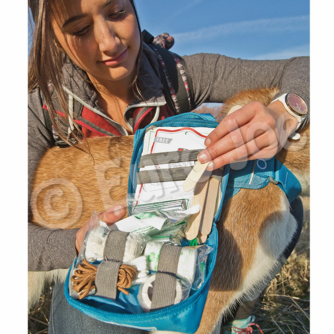 Euro Joe KURGO First Aid Kit Blue 4 Euro Joe KURGO First Aid Kit Blue - Image 4