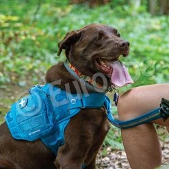 Euro Joe KURGO First Aid Kit Blue 7 Euro Joe KURGO First Aid Kit Blue -FIRST AID Sales Store K01968 KURGO Ready Set Go1st Aid Kit LS 6