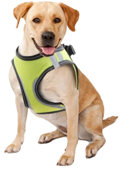 Euro Joe Pawise Doggy Safety Harness XL A:40-48cm B:50-54cm