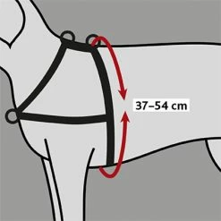 Euro Joe Training Harness Lead'n'Walk Soft -FIRST AID Sales Store PHO GRA PRO 13054 1