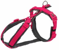 Euro Joe Premium Trekking Harness Fuchsia/graphite
