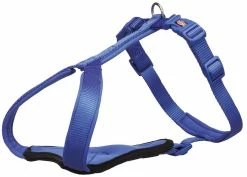 Euro Joe Premium Y-harness Royal Blue