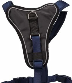 FIRST AID Sales Store -FIRST AID Sales Store PHO PRO DET CLIP Premium 1998513 1