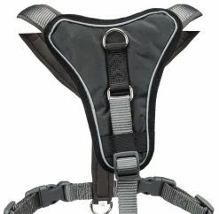 FIRST AID Sales Store -FIRST AID Sales Store PHO PRO DET CLIP Premium 1998516 1