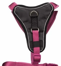 FIRST AID Sales Store -FIRST AID Sales Store PHO PRO DET CLIP Premium 1998520 1