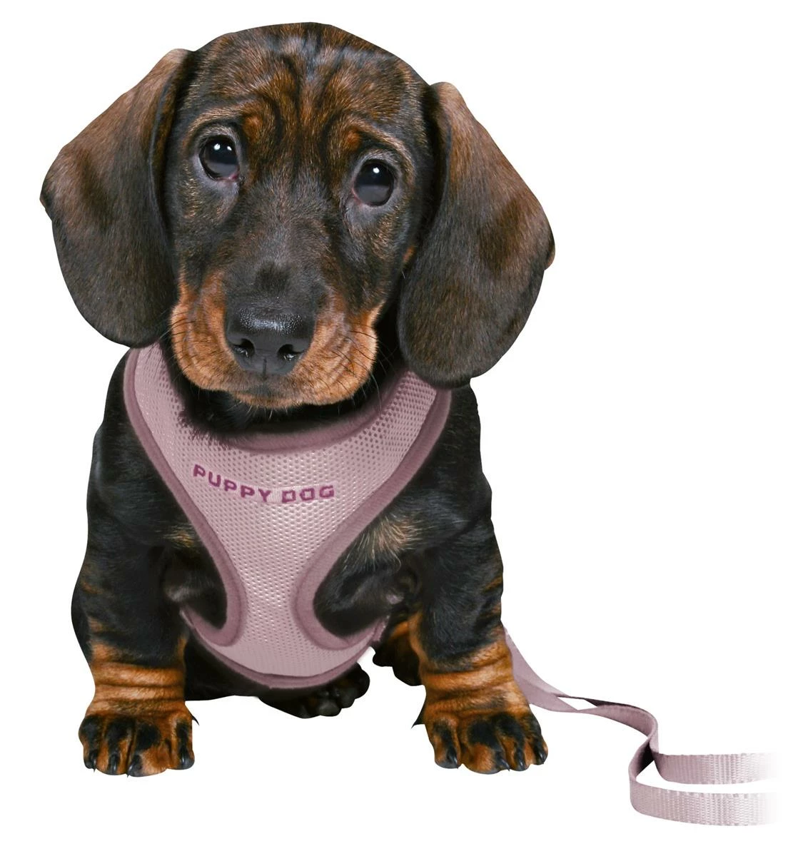 Euro Joe Junior Puppy Soft Harness With Leash 2 Euro Joe Junior Puppy Soft Harness With Leash - Image 2
