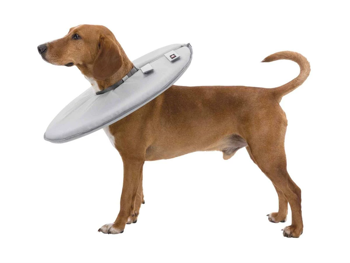 Euro Joe Protective Collar, Polyester/foam 4 Euro Joe Protective Collar, Polyester/foam - Image 4