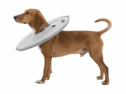 Euro Joe Protective Collar, Polyester/foam 8 Euro Joe Protective Collar, Polyester/foam -FIRST AID Sales Store PHO PRO DOG CLIP 19421 19422 19423 19424 19425 19426 19427 1 4