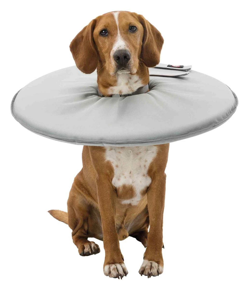 Euro Joe Protective Collar, Polyester/foam 2 Euro Joe Protective Collar, Polyester/foam - Image 2