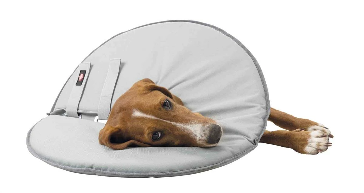 Euro Joe Protective Collar, Polyester/foam 5 Euro Joe Protective Collar, Polyester/foam - Image 5