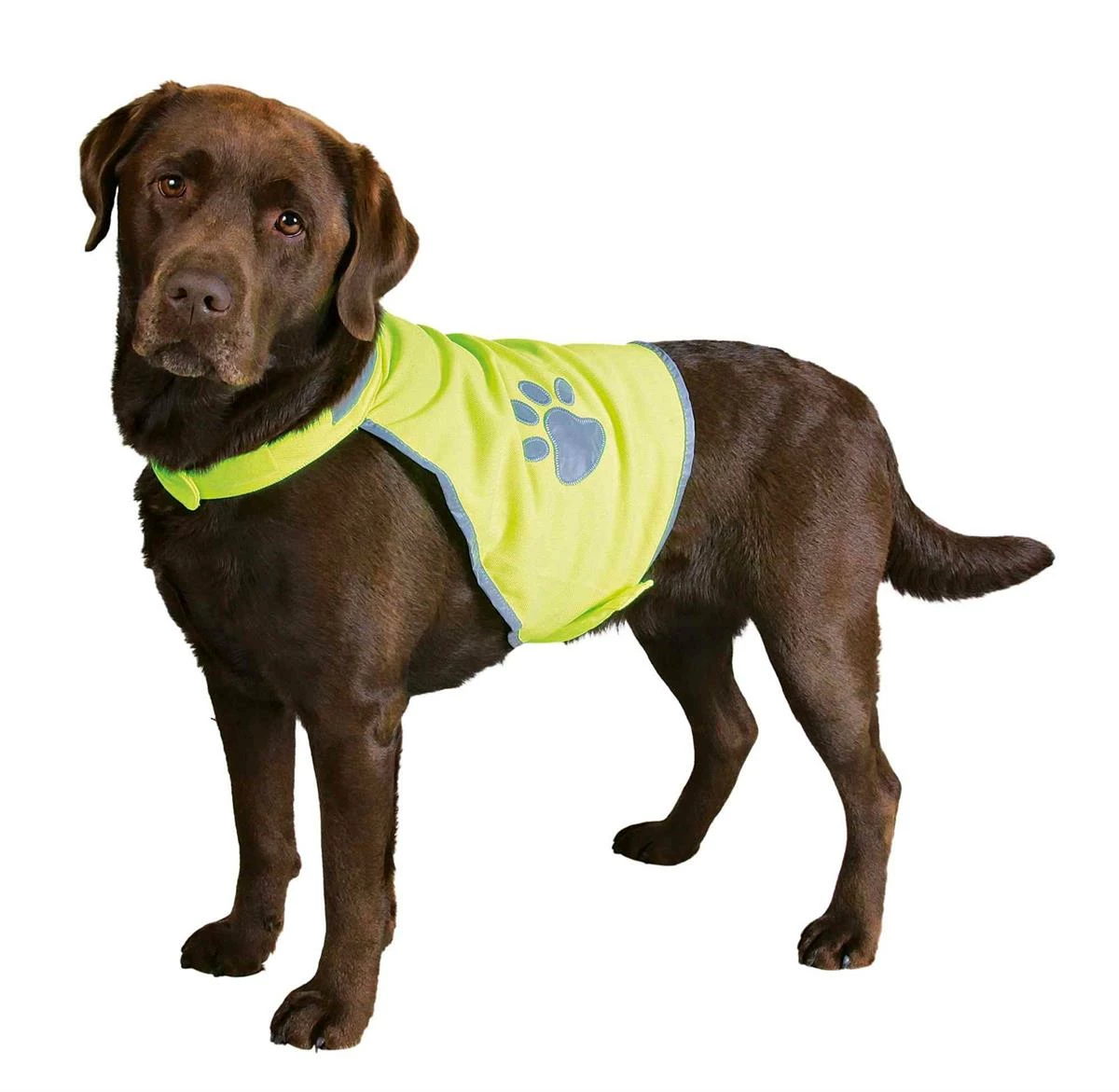 Euro Joe Safety Vest, Reflective 2 Euro Joe Safety Vest, Reflective - Image 2