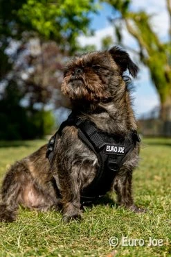 Euro Joe Nylon Harness 'Tactical' Black -FIRST AID Sales Store loesje harnas 2 4