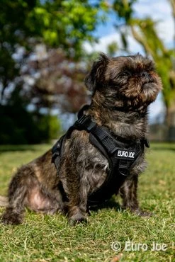 Euro Joe Nylon Harness 'Tactical' Black -FIRST AID Sales Store loesje harnas 3 4