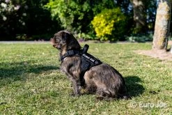 Euro Joe Nylon Harness 'Tactical' Pink -FIRST AID Sales Store loesje harnas 4 2