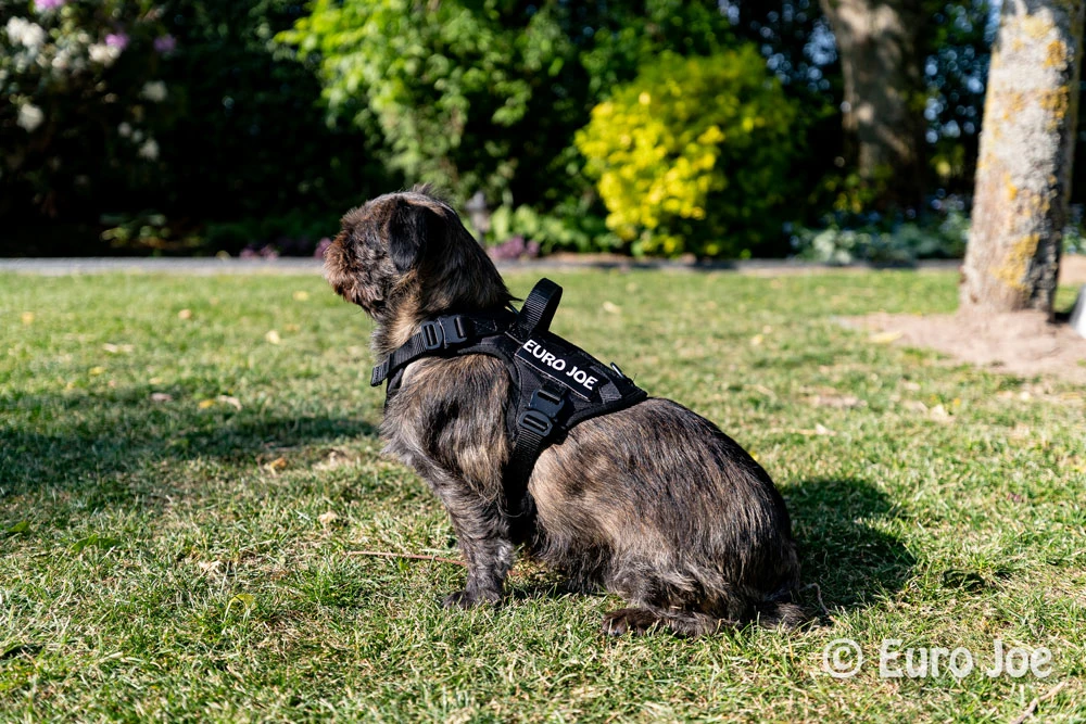 Euro Joe Nylon Harness 'Tactical' Taupe 28 Euro Joe Nylon Harness 'Tactical' Taupe - Image 28