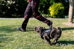 Euro Joe Nylon Harness 'Tactical' Red -FIRST AID Sales Store loesje harnas 5 1