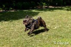 Euro Joe Nylon Harness 'Tactical' Black -FIRST AID Sales Store loesje harnas 6 4