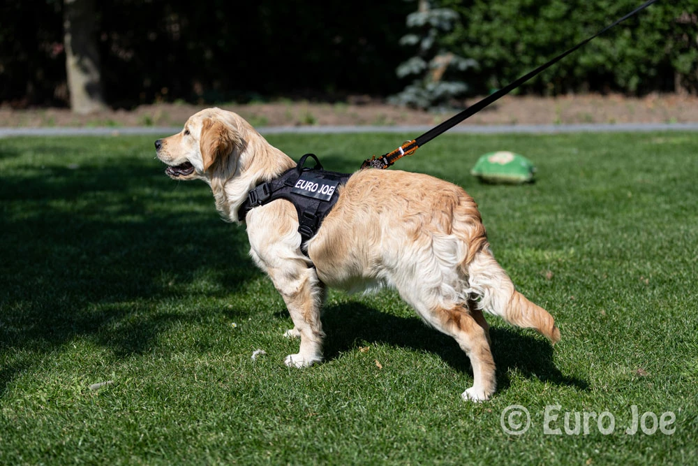 Euro Joe Nylon Harness 'Tactical' Taupe 22 Euro Joe Nylon Harness 'Tactical' Taupe - Image 22