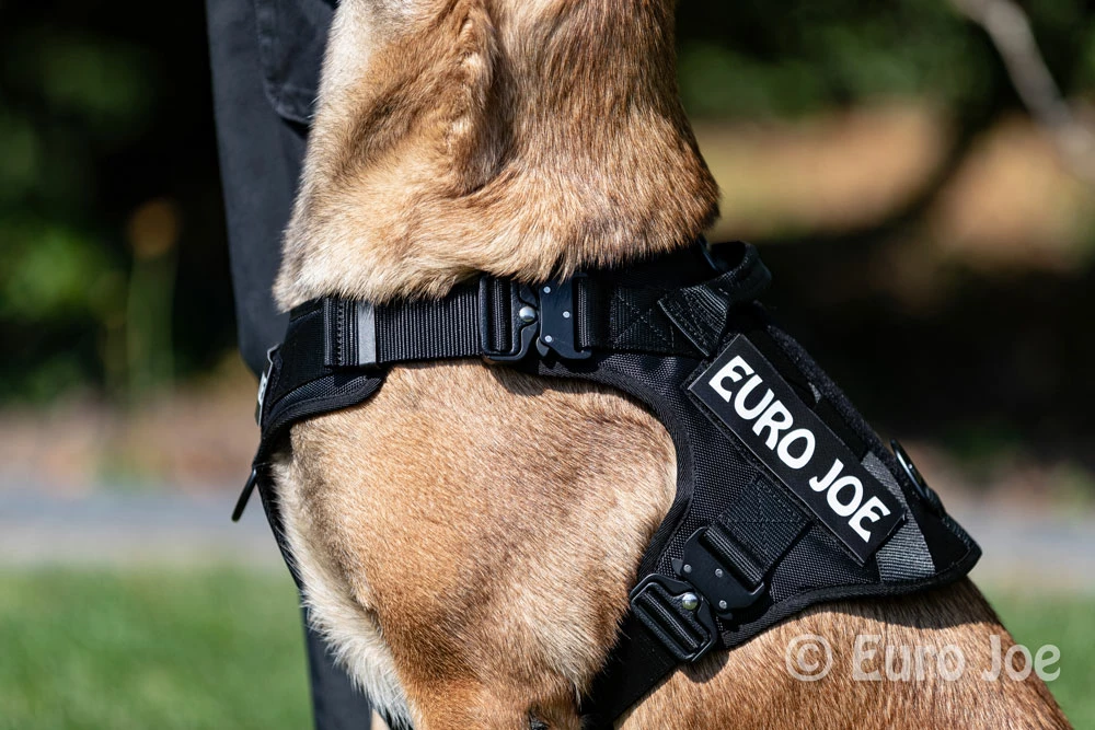 Euro Joe Nylon Harness 'Tactical' Orange 7 Euro Joe Nylon Harness 'Tactical' Orange - Image 7