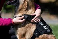 Euro Joe Nylon Harness 'Tactical' Orange 38 Euro Joe Nylon Harness 'Tactical' Orange -FIRST AID Sales Store tactical harness 14