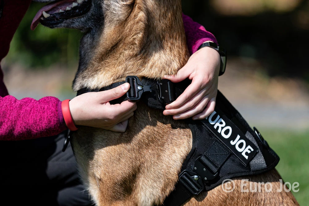 Euro Joe Nylon Harness 'Tactical' Neon Yellow 8 Euro Joe Nylon Harness 'Tactical' Neon Yellow - Image 8