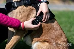 Euro Joe Nylon Harness 'Tactical' Orange 39 Euro Joe Nylon Harness 'Tactical' Orange -FIRST AID Sales Store tactical harness 15