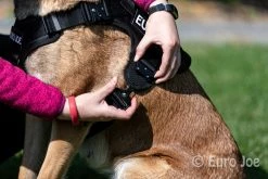 Euro Joe Nylon Harness 'Tactical' Pink -FIRST AID Sales Store tactical harness 16 2