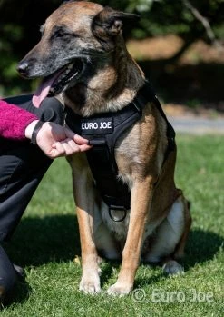 Euro Joe Nylon Harness 'Tactical' Black -FIRST AID Sales Store tactical harness 17 4