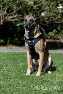 Euro Joe Nylon Harness 'Tactical' Red -FIRST AID Sales Store tactical harness 18 1