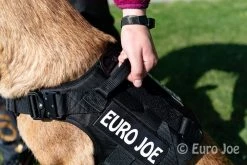 Euro Joe Nylon Harness 'Tactical' Orange 47 Euro Joe Nylon Harness 'Tactical' Orange -FIRST AID Sales Store tactical harness 22