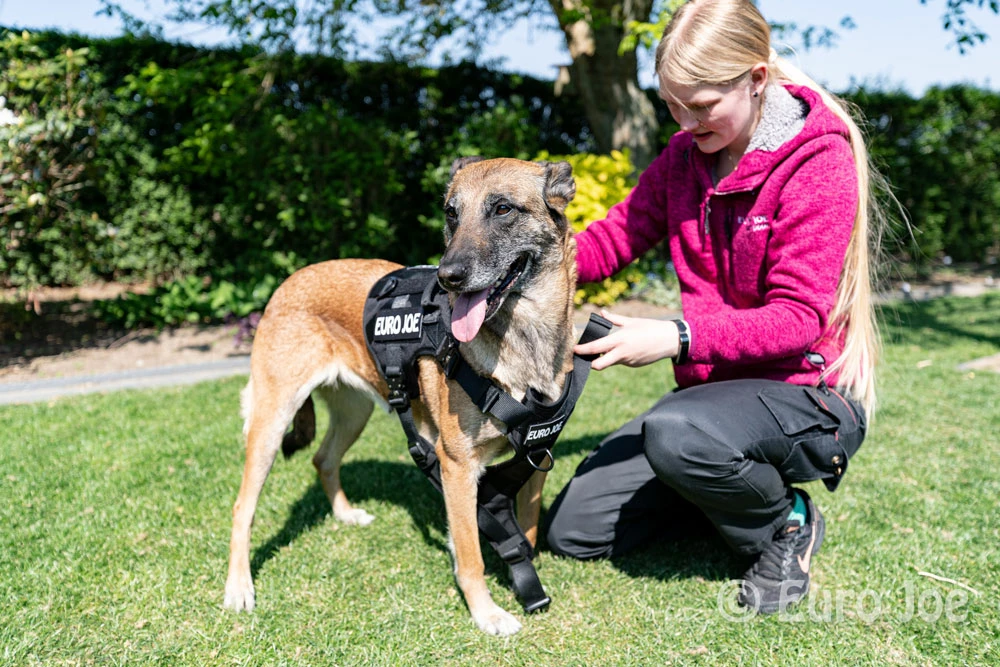 Euro Joe Nylon Harness 'Tactical' Taupe 18 Euro Joe Nylon Harness 'Tactical' Taupe - Image 18