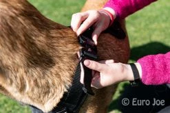 Euro Joe Nylon Harness 'Tactical' Orange 41 Euro Joe Nylon Harness 'Tactical' Orange -FIRST AID Sales Store tactical harness 24