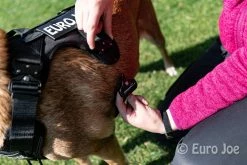 Euro Joe Nylon Harness 'Tactical' Neon Yellow 42 Euro Joe Nylon Harness 'Tactical' Neon Yellow -FIRST AID Sales Store tactical harness 25 7