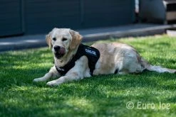 Euro Joe Nylon Harness 'Tactical' Khaki Green -FIRST AID Sales Store tactical harness 6 6