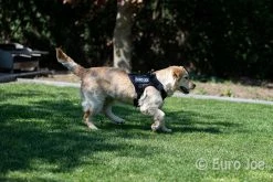 Euro Joe Nylon Harness 'Tactical' Pink -FIRST AID Sales Store tactical harness 7 2