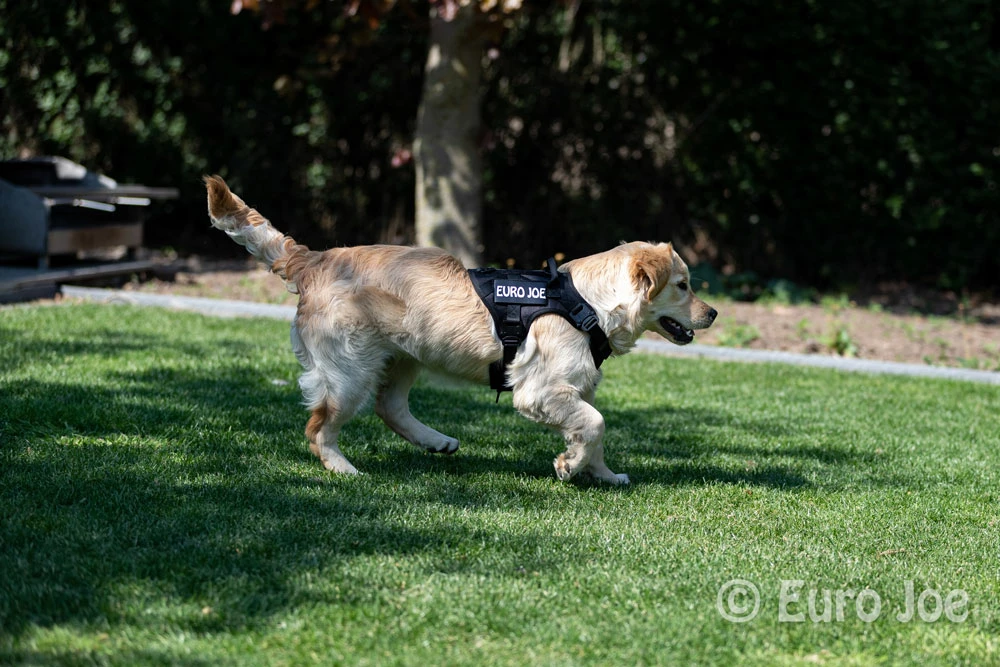 Euro Joe Nylon Harness 'Tactical' Taupe 21 Euro Joe Nylon Harness 'Tactical' Taupe - Image 21