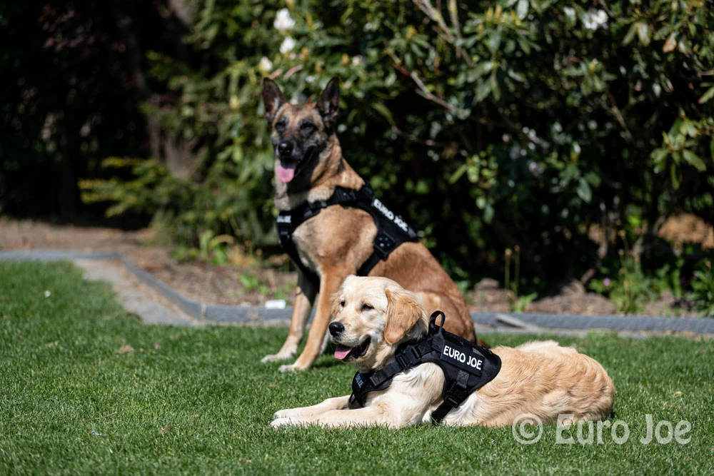 Euro Joe Nylon Harness 'Tactical' Taupe 19 Euro Joe Nylon Harness 'Tactical' Taupe - Image 19