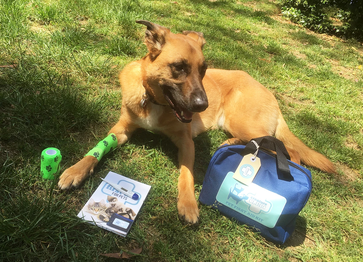 FIRST AID Sales Store -FIRST AID Sales Store Pet First Aid for Dogs Porthos with Creature Clinic Aid Kit and Manual 1