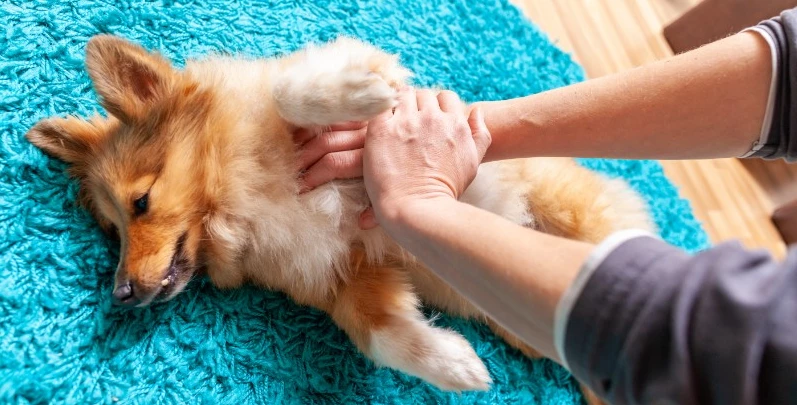 FIRST AID Sales Store -FIRST AID Sales Store Untitled